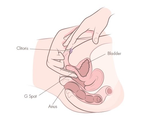 Rubbing the clitoris does not necessarily reach orgasm